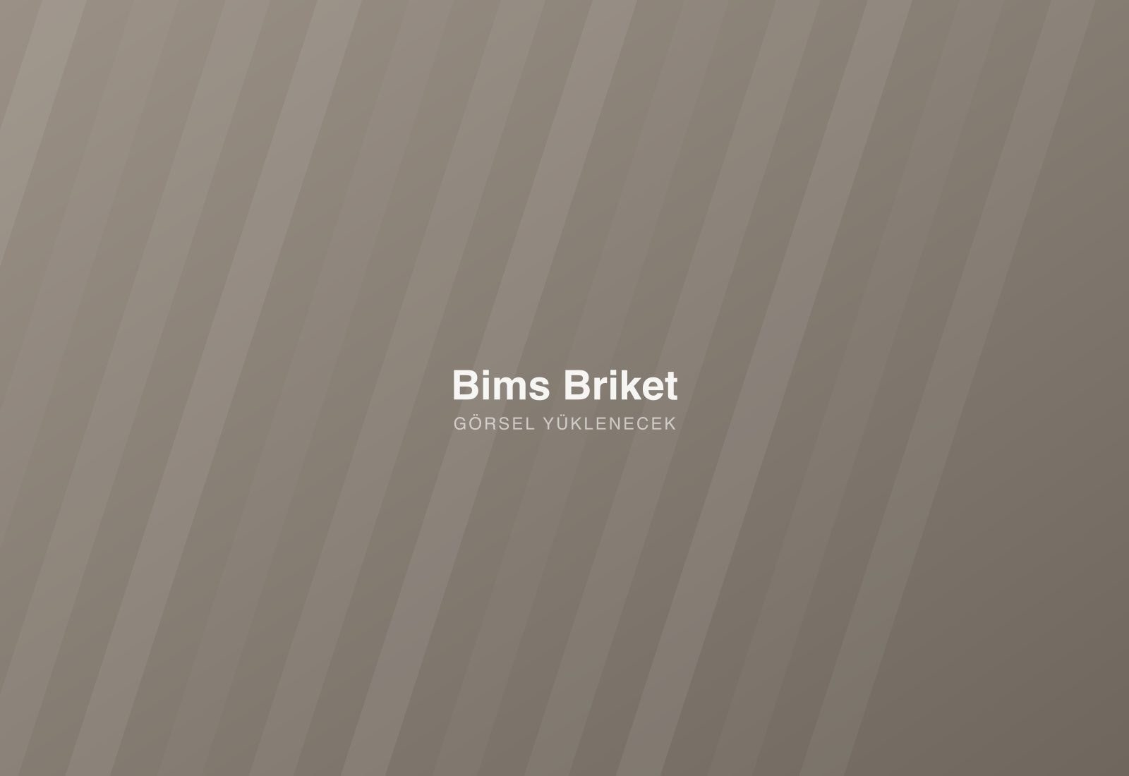 Bims Briket