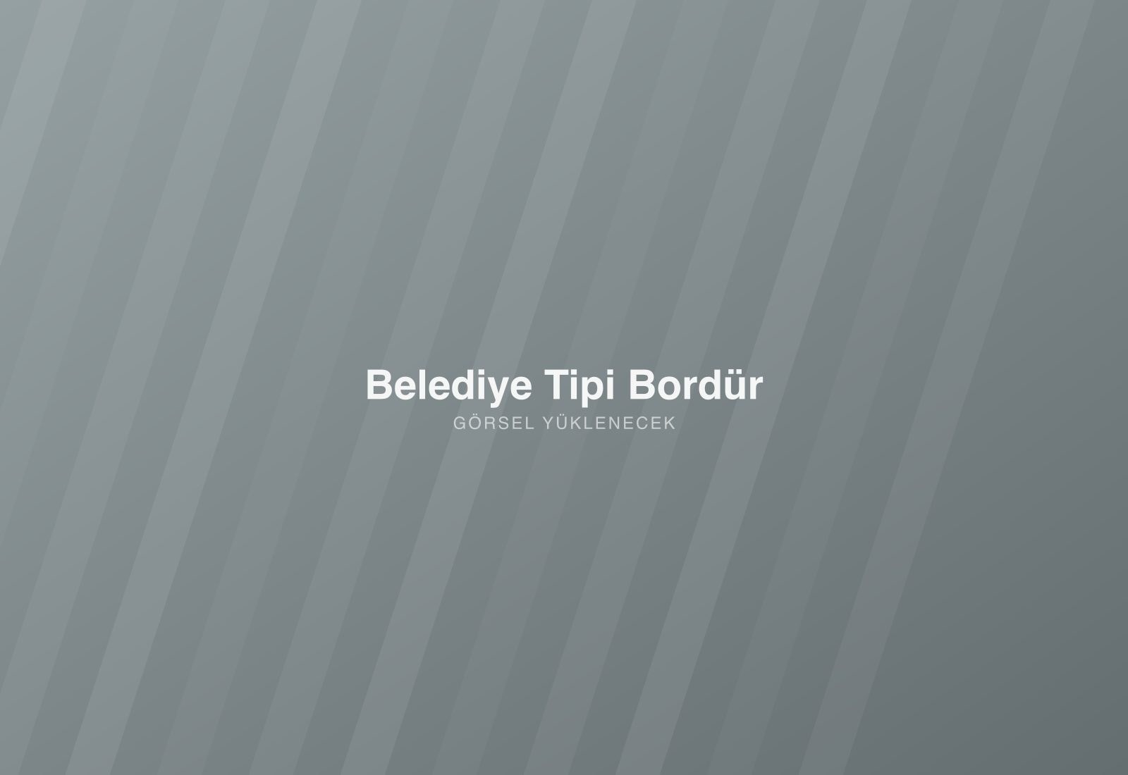 Belediye Tipi Bordür